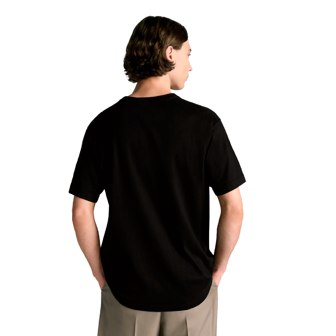 Camiseta Dior Icons
