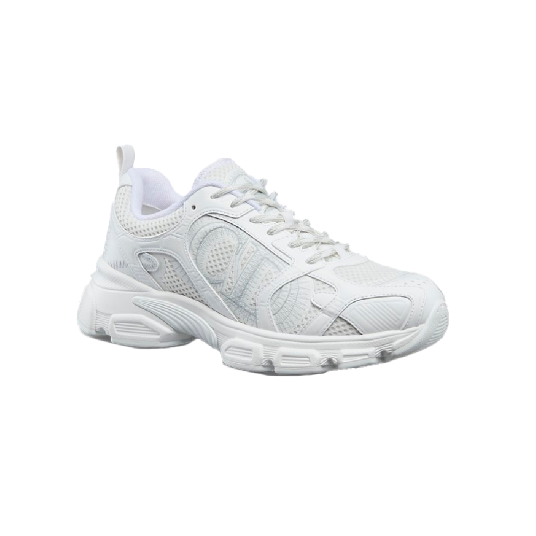 Zapatos Dior Chrono